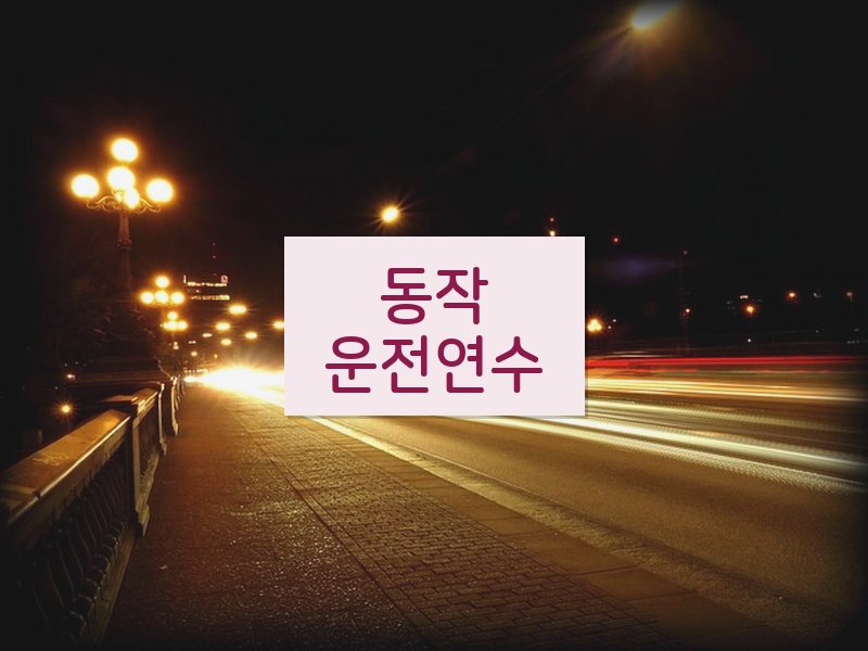 동작운전연수 후기