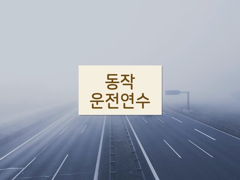 동작운전연수 후기