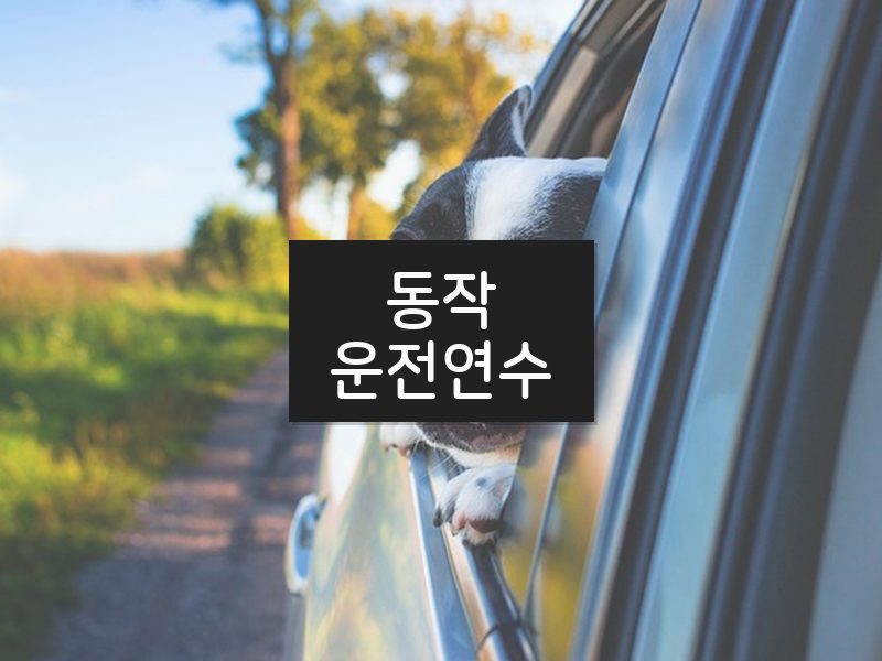 동작운전연수 후기