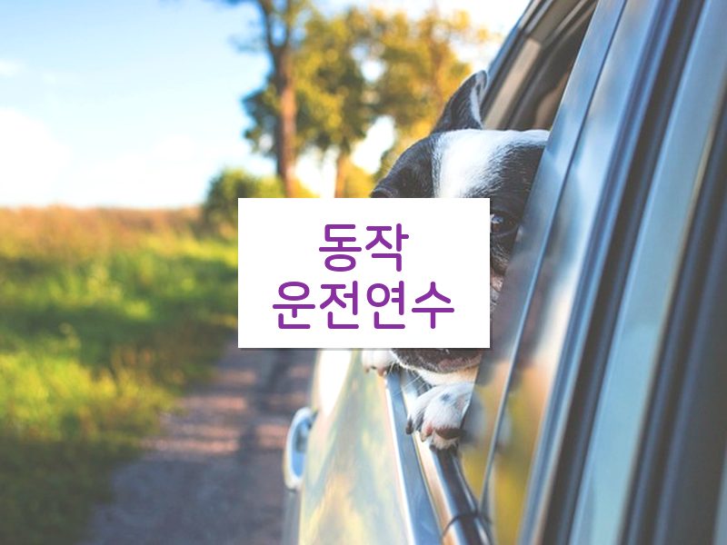 동작운전연수 후기