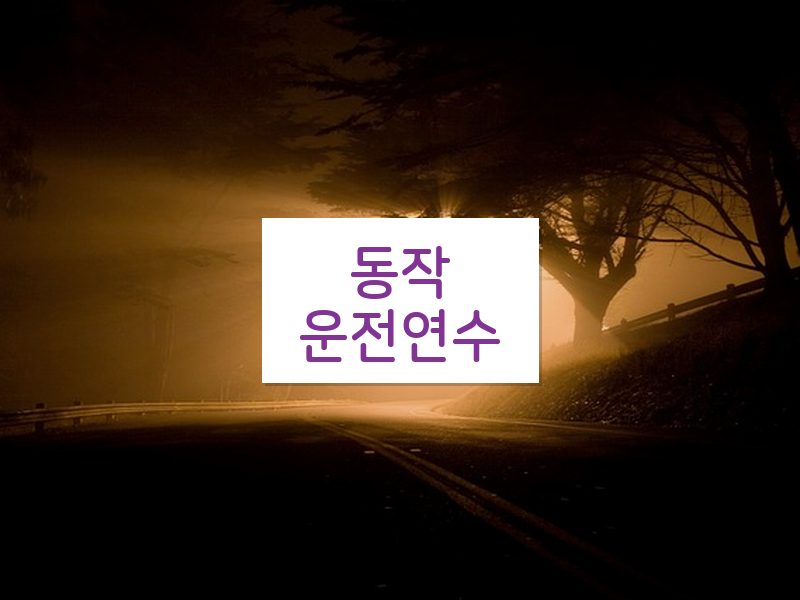 동작운전연수 후기