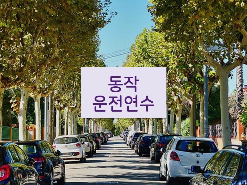 동작운전연수 후기