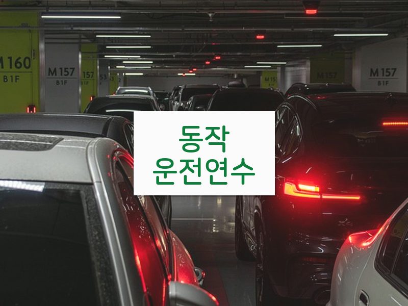동작운전연수 후기