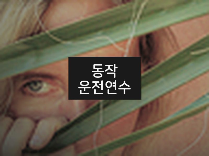 동작운전연수 후기