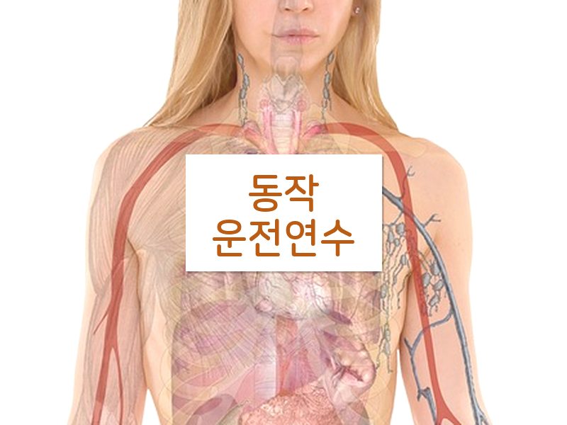 동작운전연수 후기