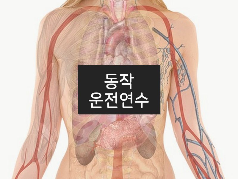 동작운전연수 후기