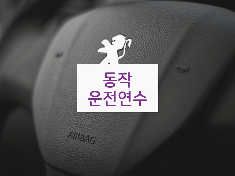 동작운전연수 후기