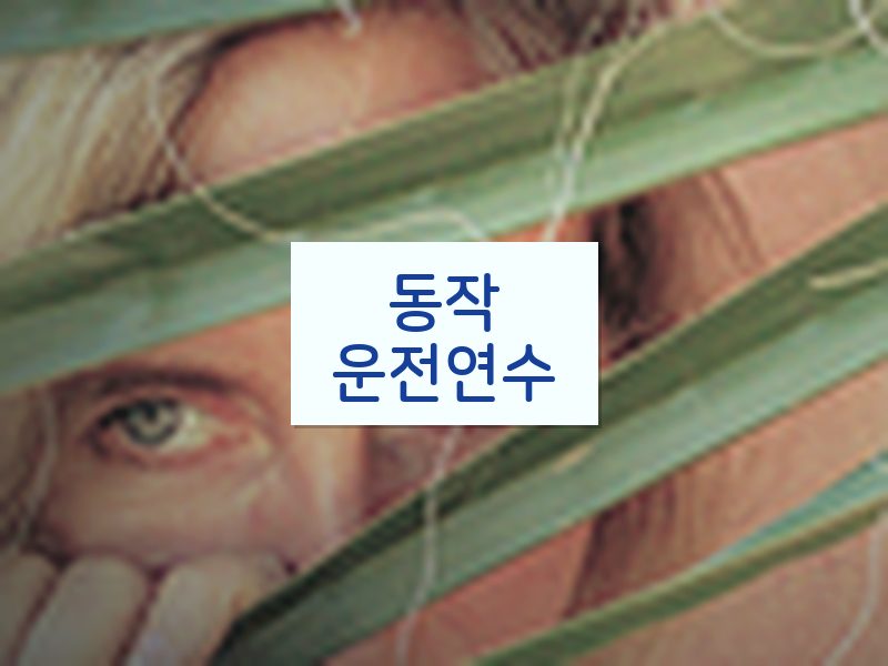 동작운전연수 후기