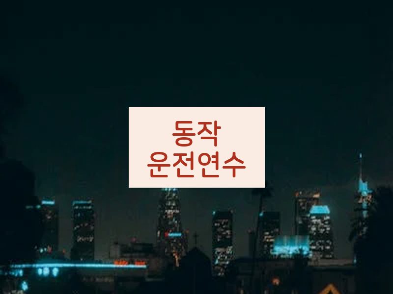 동작운전연수 후기