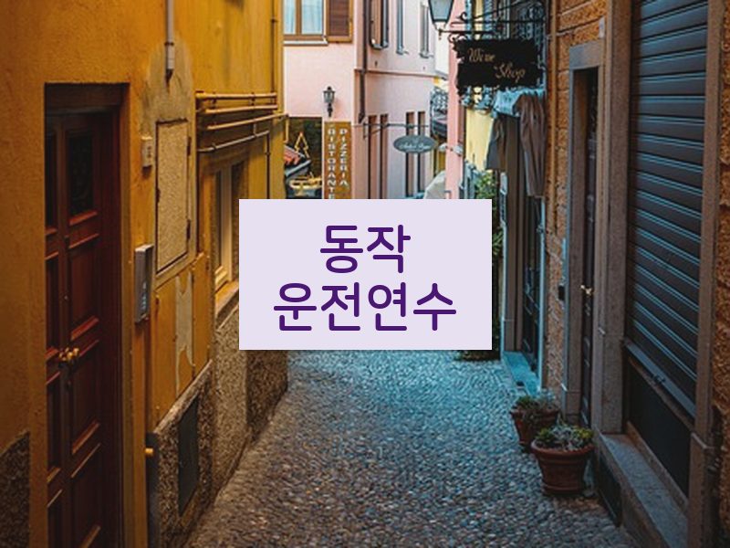 동작운전연수 후기
