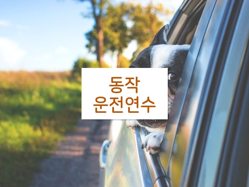 동작운전연수 후기