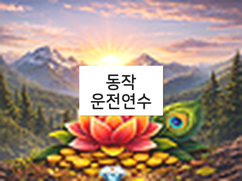동작운전연수 후기