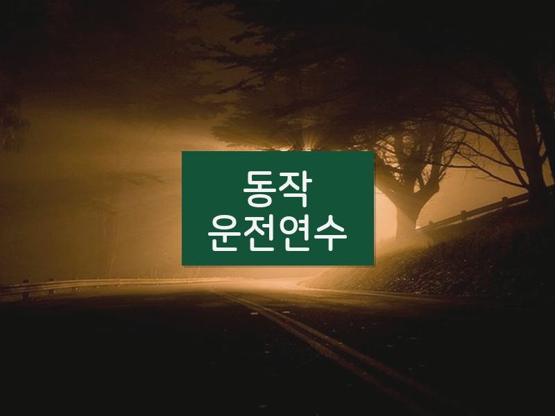 동작운전연수 후기