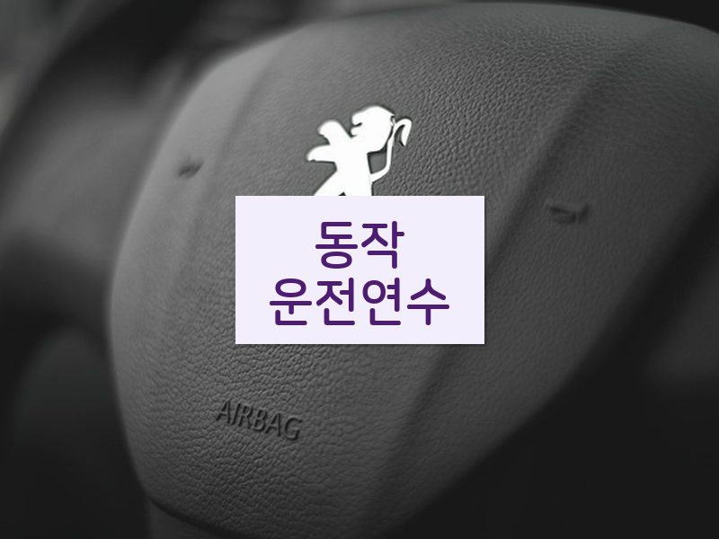 동작운전연수 후기
