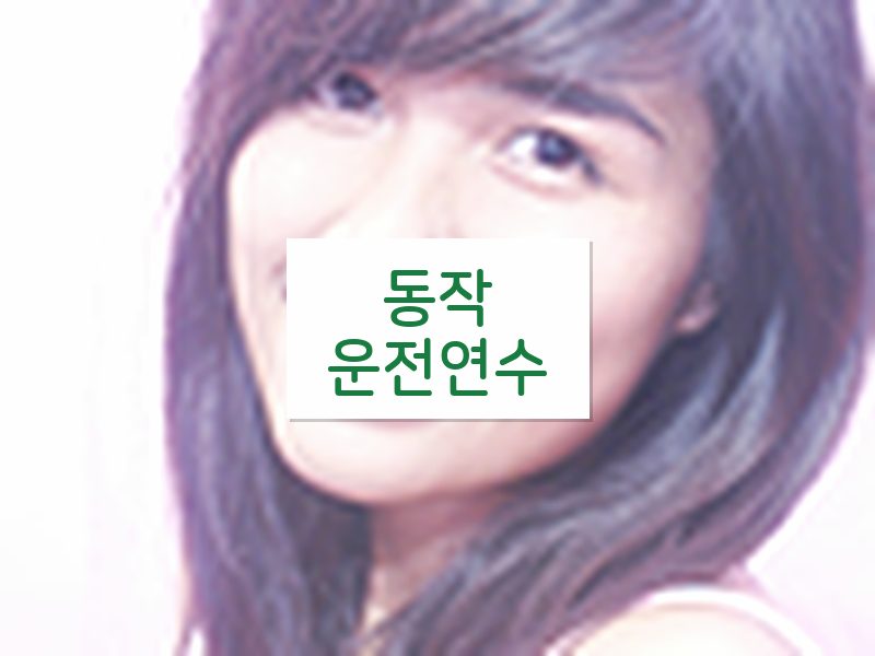 동작운전연수 후기