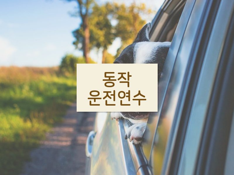 동작운전연수 후기