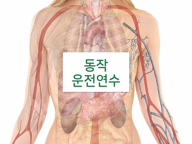 동작운전연수 후기