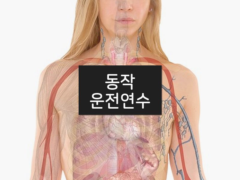 동작운전연수 후기