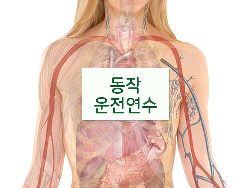 동작운전연수 후기