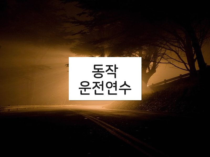 동작운전연수 후기