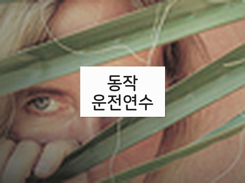 동작운전연수 후기