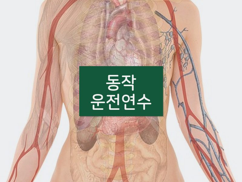 동작운전연수 후기