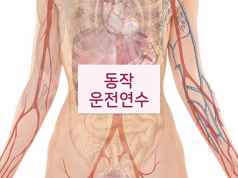 동작운전연수 후기