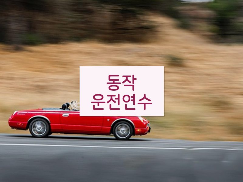 동작운전연수 후기