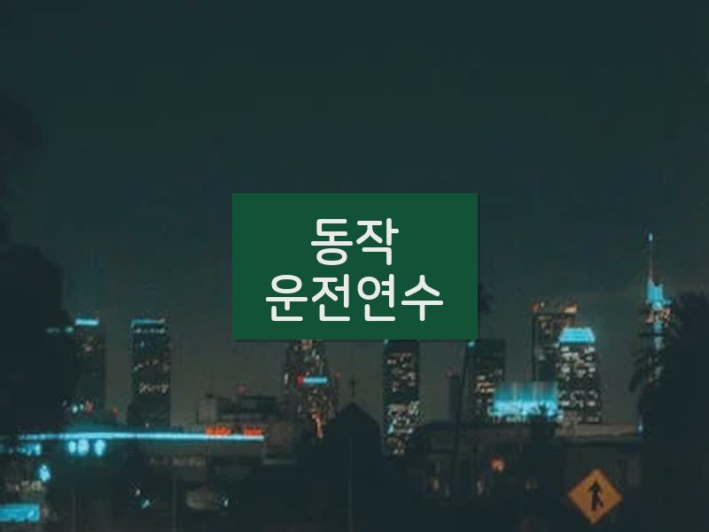 동작운전연수 후기