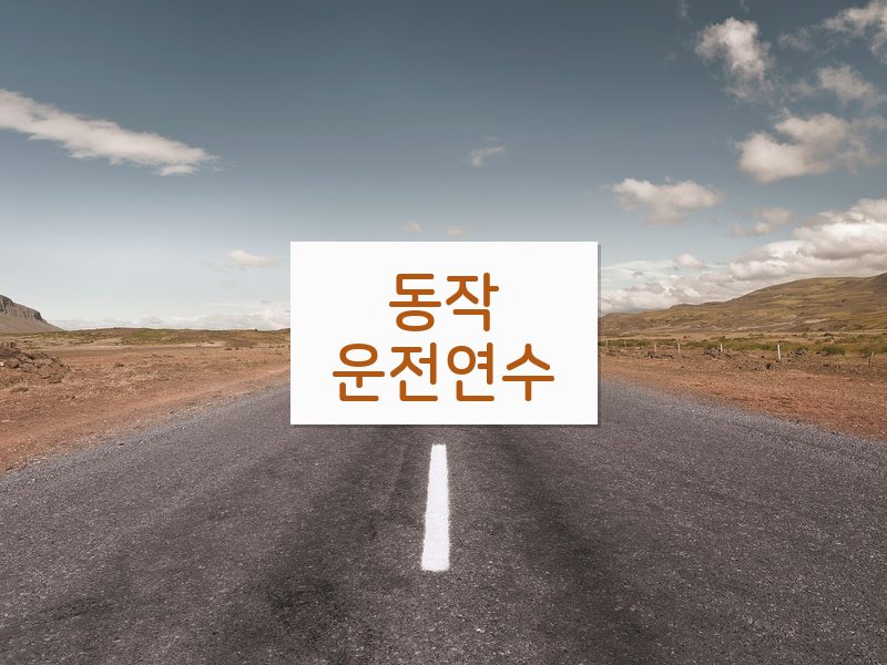 동작운전연수 후기