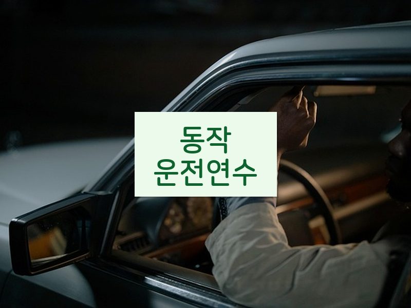동작운전연수 후기