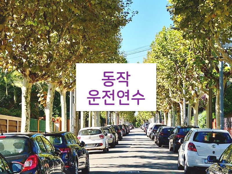 동작운전연수 후기