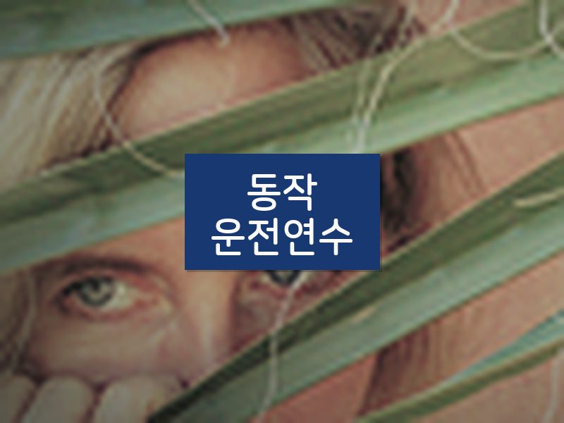동작운전연수 후기