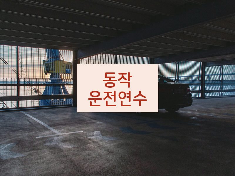 동작운전연수 후기