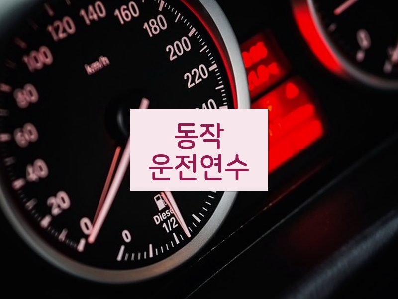 동작운전연수 후기