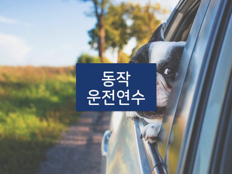 동작운전연수 후기