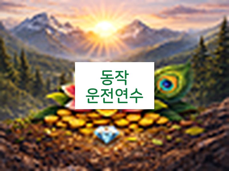 동작운전연수 후기