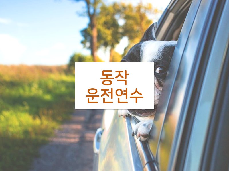 동작운전연수 후기