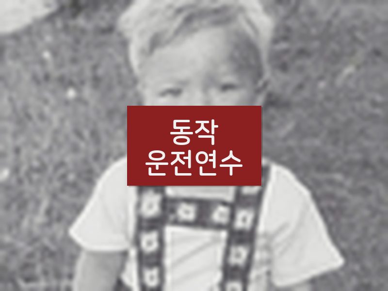 동작운전연수 후기
