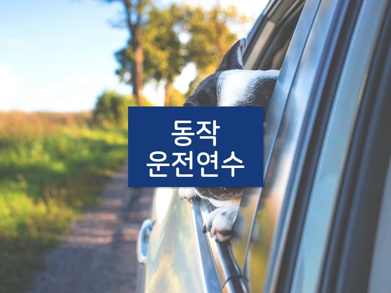 동작운전연수 후기