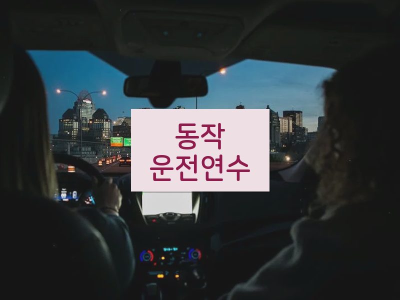 동작운전연수 후기