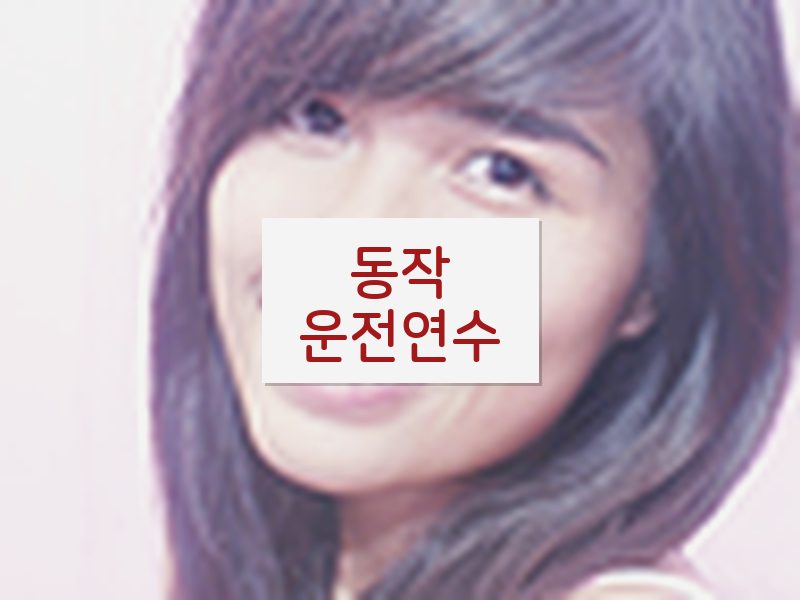동작운전연수 후기