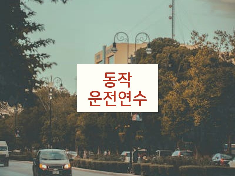 동작운전연수 후기