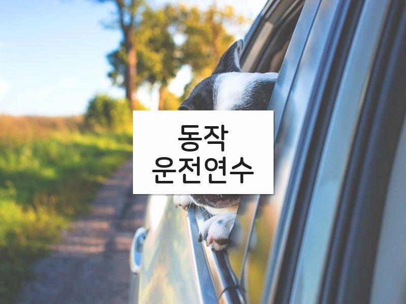 동작운전연수 후기