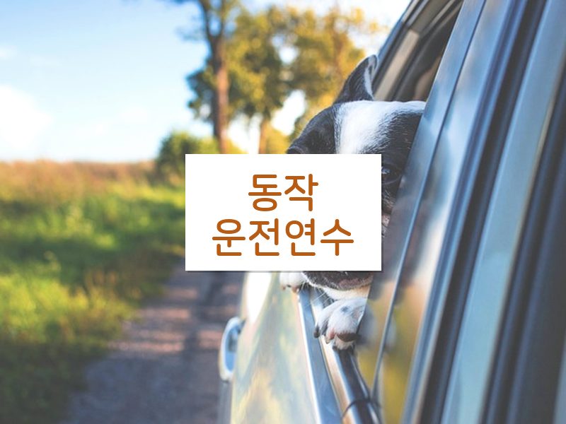 동작운전연수 후기