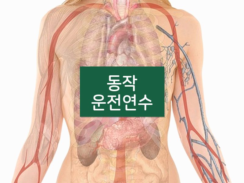 동작운전연수 후기