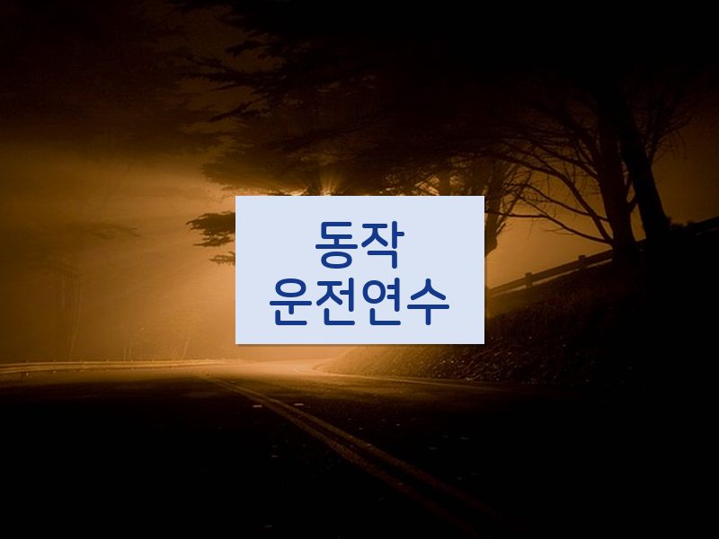 동작운전연수 후기
