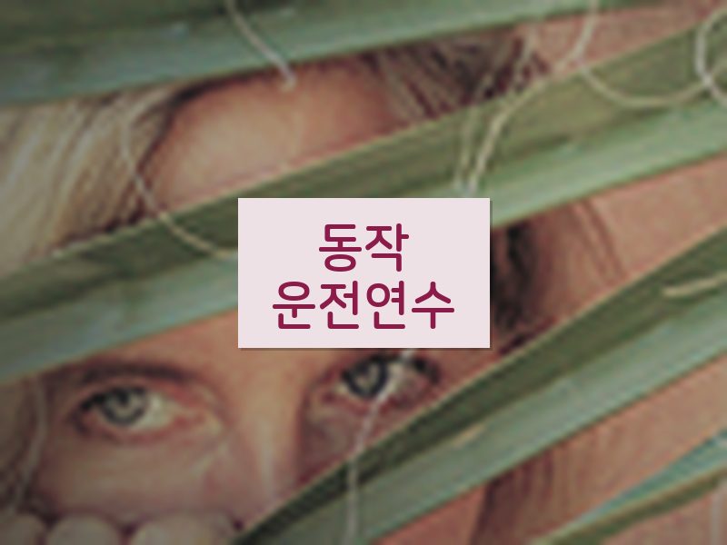 동작운전연수 후기