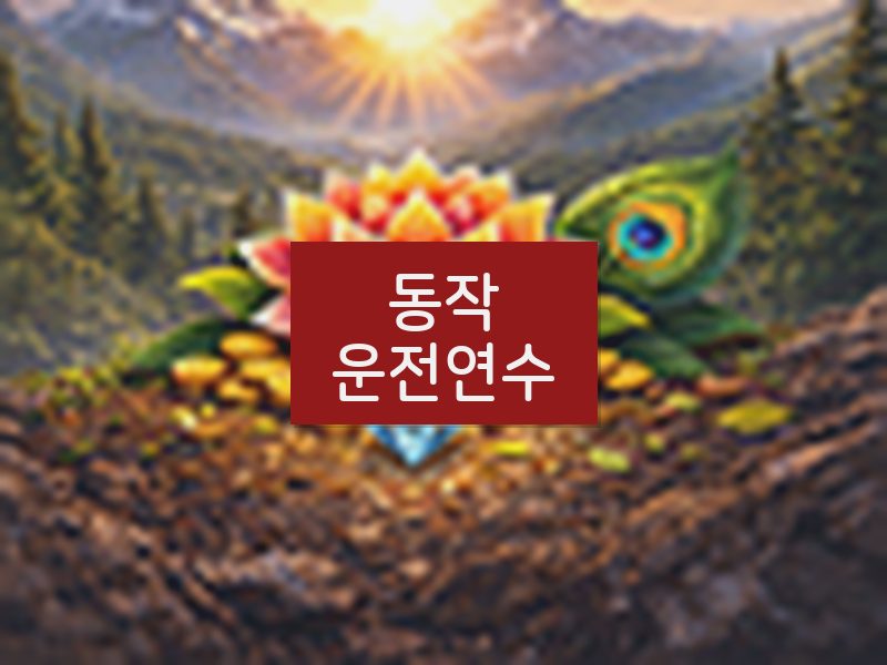 동작운전연수 후기