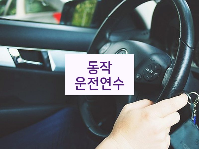 동작운전연수 후기
